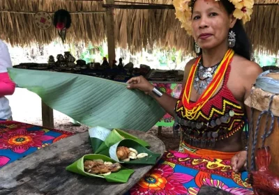 EMBERA6
